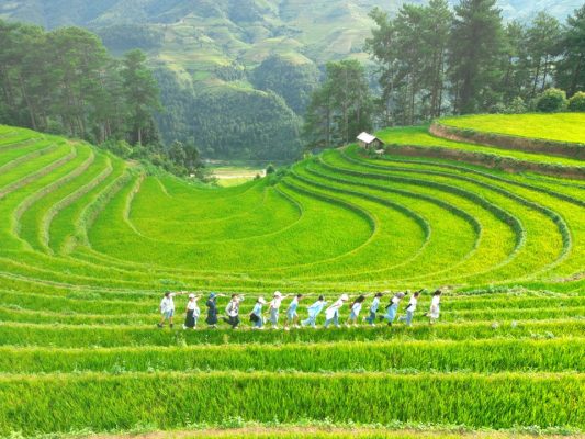 ảnh khách của Falcon Travel