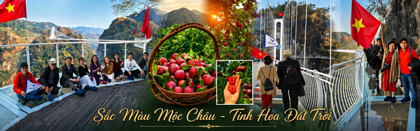 ảnh banner Mộc Châu